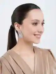 Серебряный серьги