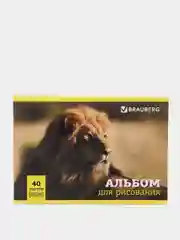 Альбом для рисования, А4, 40 листов, скоба, обложка картон, Brauberg, "Дикие животные"