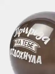 Черный шары оскорбительные на день рождения. Шары с приколами. Прикольные шары. Черные шары