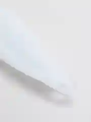 Голубой кисть с емкостью для масла