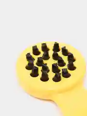 Желтый рыбочистка