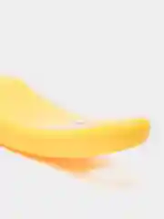 Желтый рыбочистка