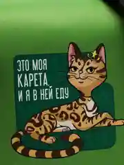 Сумка-переноска раскладная "Это моя карета", 43 х 27 х 20 см