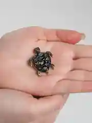 Угольный брошь