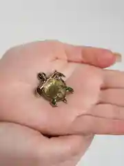 Угольный брошь