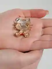 Красный брошь