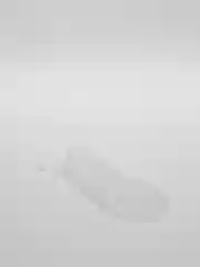 Белый насадка на пенис с шипами