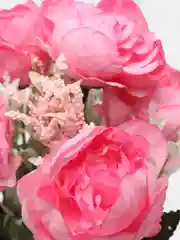 Фуксия искусственные цветы Пионы букет, розы, камелии, ранункулюсы, осока, растения, зелень