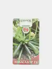 Кабачок Амбасадор, семена