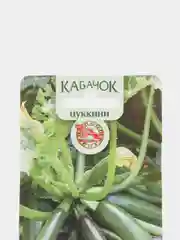 Кабачок Амбасадор, семена