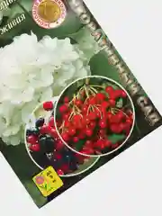 Калина "Набор"