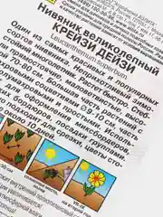 Семена Нивяник махровый "Крейзи Дейзи" набор 1, 3, 5 уп