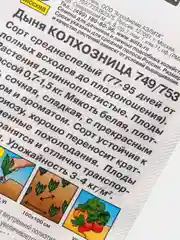 Желтый семена дыня "Колхозница"