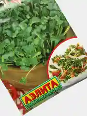 Семена Микрозелень "Дайкон"