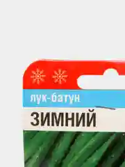 Семена Лук "Батун Зимний", Сибирский Сад, 1 г