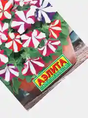 Семена Петуния "Яркие звезды", F2, многоцветковая, смесь сортов, 0.03 г