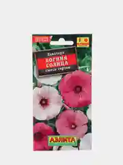 Семена Лаватера "Богиня солнца"