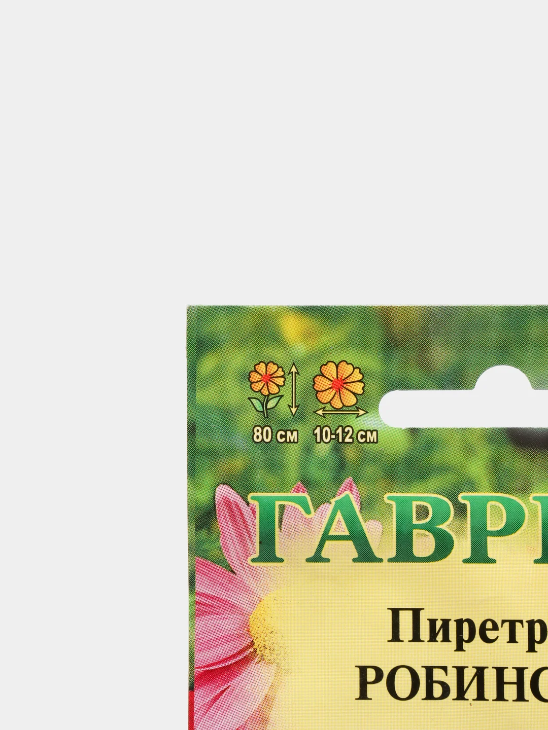 Пиретрум Робинсон (семена,цветы)