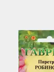 Пиретрум Робинсон (семена,цветы)