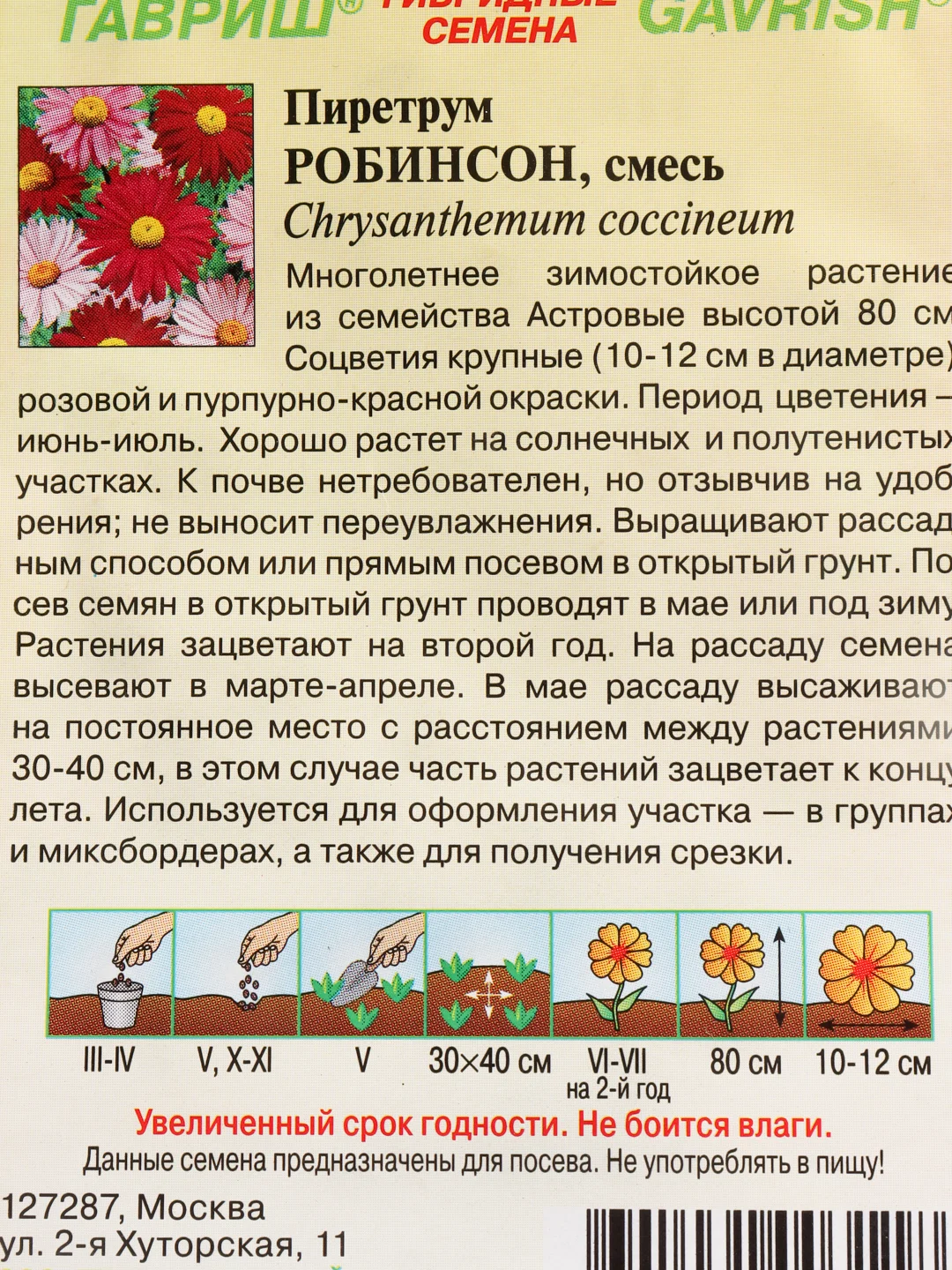 Пиретрум Робинсон (семена,цветы)
