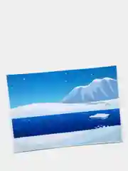 Набор "Животные севера"