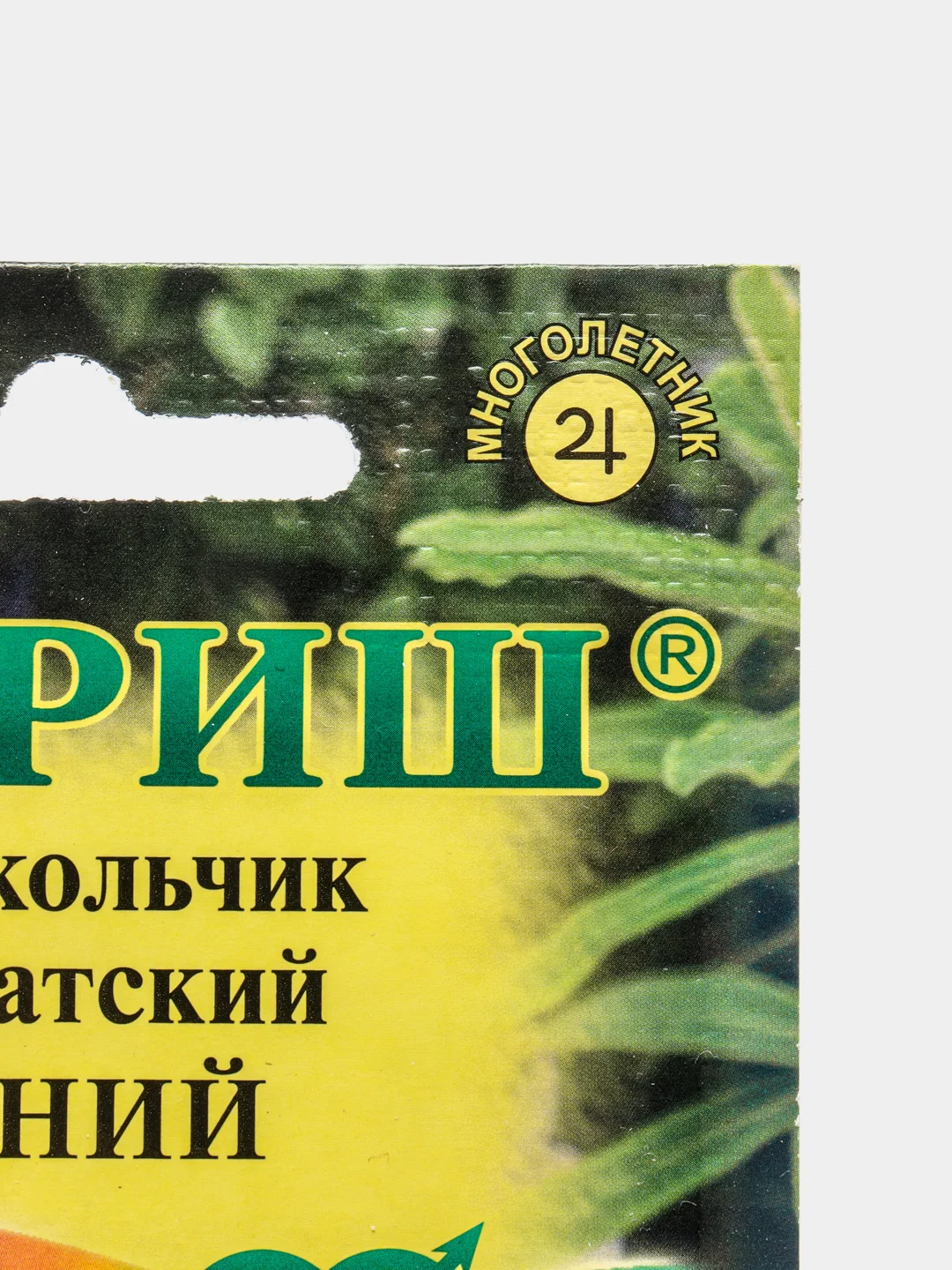 Семена Колокольчик карпатский "Синий"