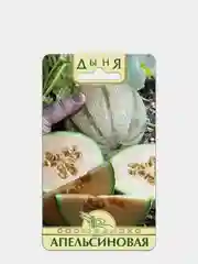 Семена Дыня "Апельсиновая"