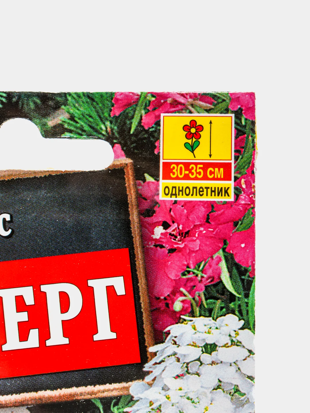 Семена Иберис "Айсберг"
