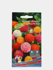 Цинния Ожерелье, семена, цветы