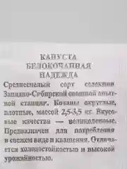 Семена Капуста Надежда, 0,3 гр, среднеспелая, 10215851