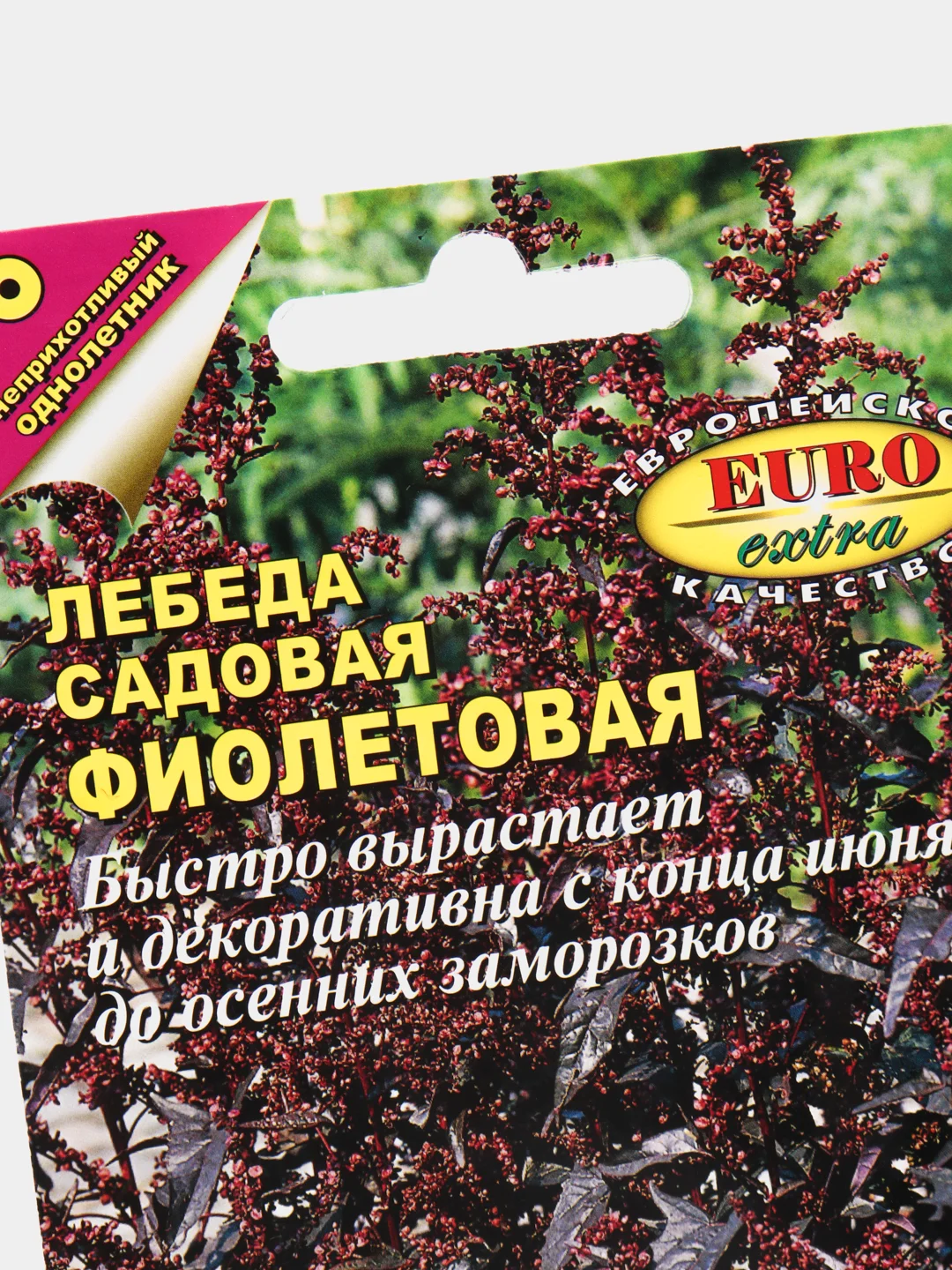 Семена Лебеда садовая "Фиолетовая", цветы