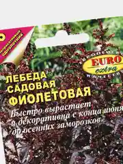 Семена Лебеда садовая "Фиолетовая", цветы