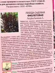 Семена Лебеда садовая "Фиолетовая", цветы