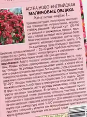 Семена Астра "Малиновые облака"