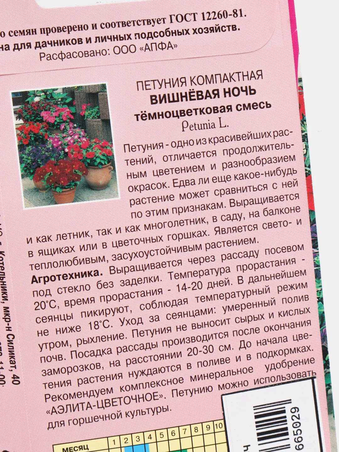 Петуния Вишневая ночь (семена,цветы)