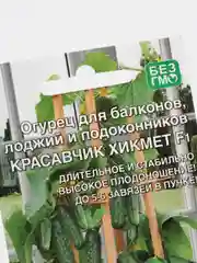Огурец для балконов Красавчик Хикмет F1, семена