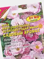 Семена Роза многоцветковая вечноцветущая "Садовый аромат"