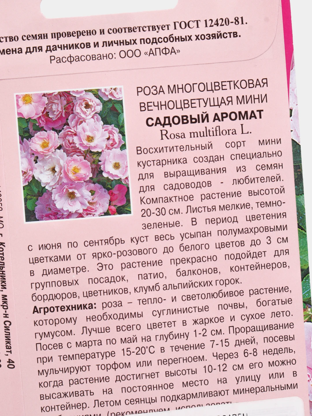 Семена Роза многоцветковая вечноцветущая "Садовый аромат"