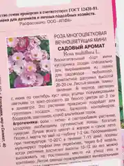 Семена Роза многоцветковая вечноцветущая "Садовый аромат"