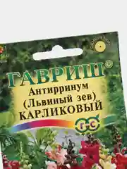 Семена Львиный зев "Карликовый смесь"