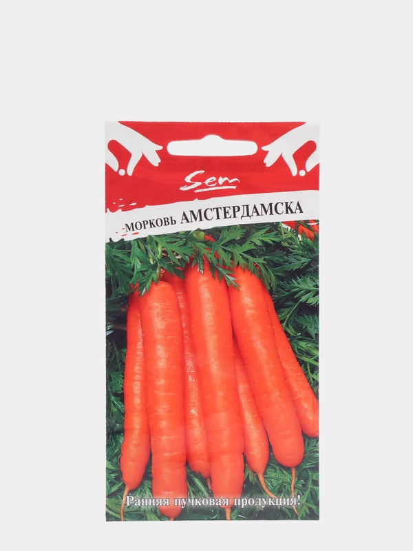 Семена Морковь "Амстердамска"