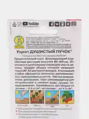 Белый семена укроп "Душистый пучок"