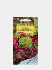 Семена Молодило "Каменная Роза" набор 1, 3, 5 уп