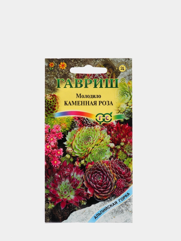 Семена Молодило "Каменная Роза" набор 1, 3, 5 уп