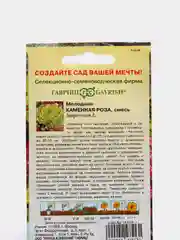 Семена Молодило "Каменная Роза" набор 1, 3, 5 уп
