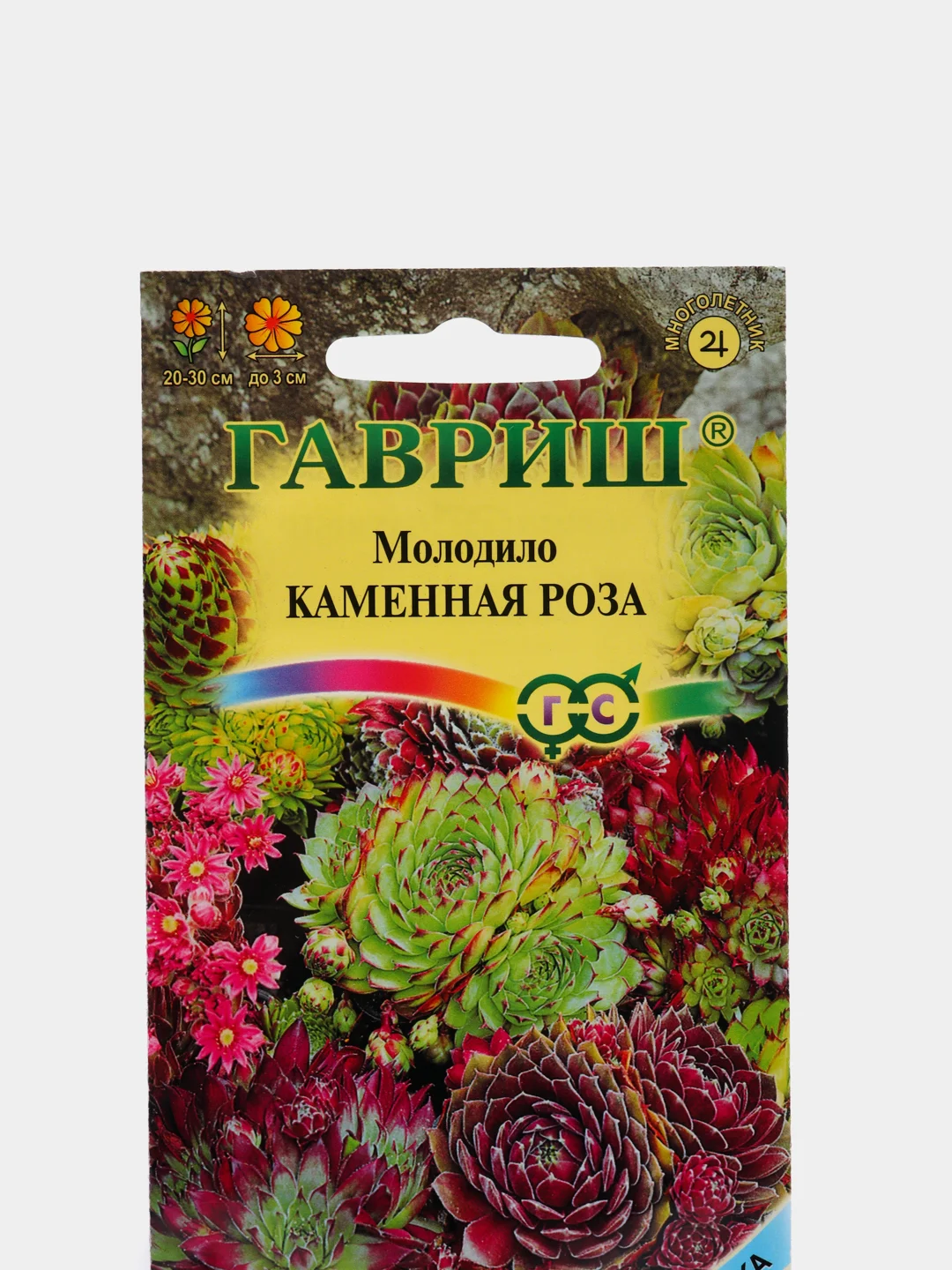 Семена Молодило "Каменная Роза" набор 1, 3, 5 уп