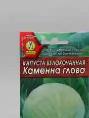 Зеленый семена капуста белокачанная "Каменна Глова" позднеспелый сорт для длительного хранения
