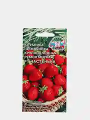 Семена, Земляника садовая крупноплодная ремонтантная "F1 Настенька"