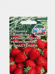 Семена, Земляника садовая крупноплодная ремонтантная "F1 Настенька"