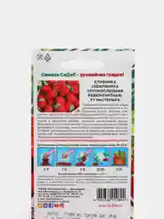 Семена, Земляника садовая крупноплодная ремонтантная "F1 Настенька"